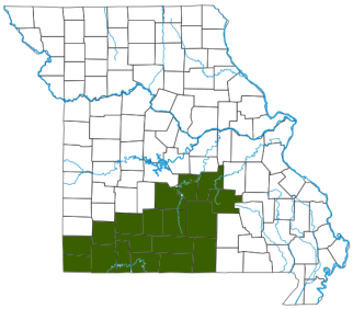 Oklahoma Salamander Distribution Map