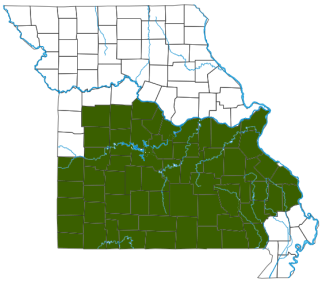 Rough Earthsnake Distribution Map