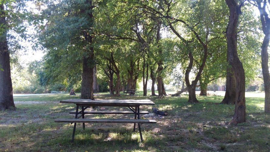 Vandalia Lake picnic table