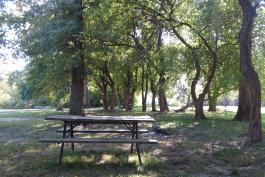 Vandalia Lake picnic table