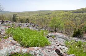 Photo of an igneous glade at Taum Sauk Mountain in springtime, with view to distance