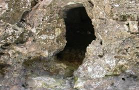 Photo of the opening to a small terrestrial cave on the side of a bluff.