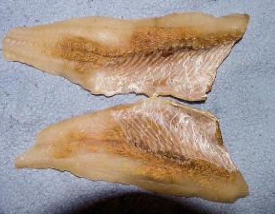 Sandy flesh shown in two filets