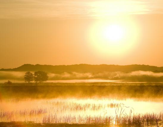 Sun low over BK Leach CA, casting a golden light on the wetlands and reeds surrounding it.