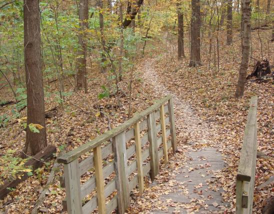 wooden bridge on a path on Maple Woods NA 