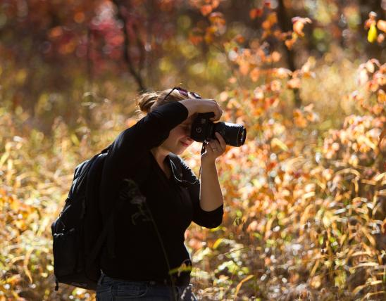 A woman takes a photograph in a field in autumn.