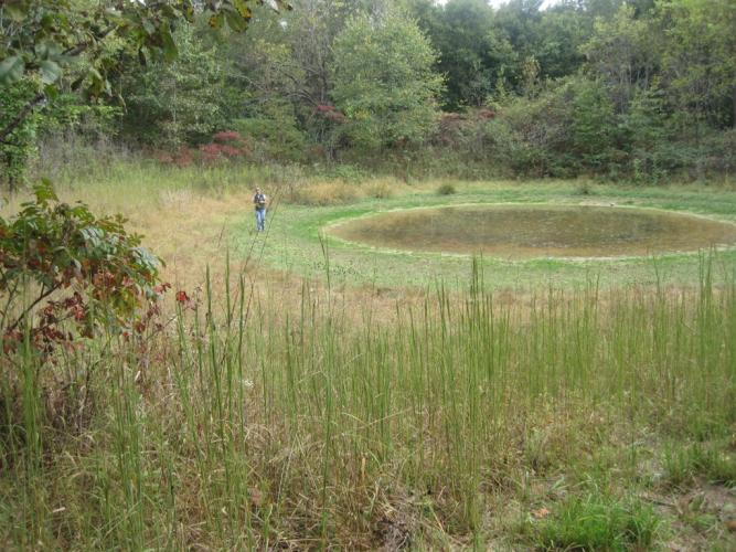 Virginia sneezeweed sinkhold pond habitat with a person walking along the edge
