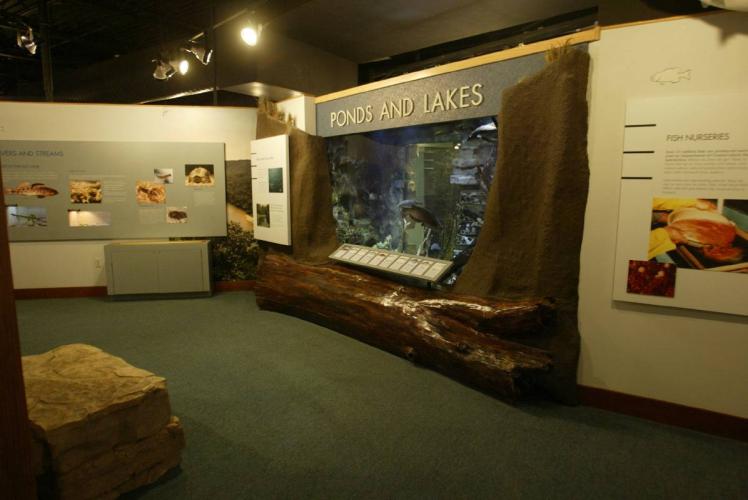 Fish tank and exhibits at Runge CNC