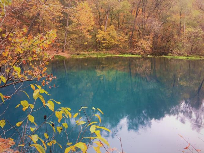 Photo of fall color at Alley Spring