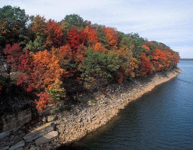 Autumn woods with sugar maples along a rocky shoreline