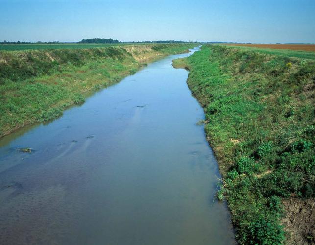 Photo of Cane Creek Ditch east of Neelyville, Missouri