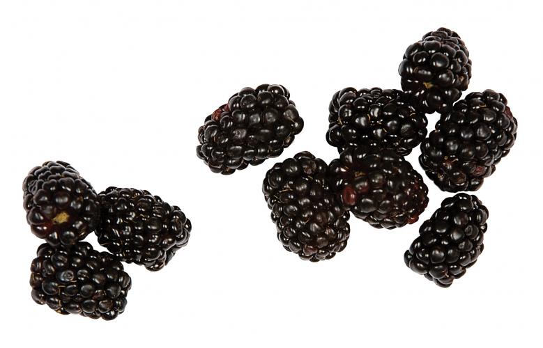 Blackberries on White Background