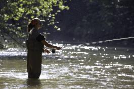 Fly fishing in a Missouri stream