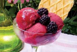 blackberry gelato