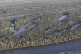 Aerial view of forested area with shallow areas of water interspersed 