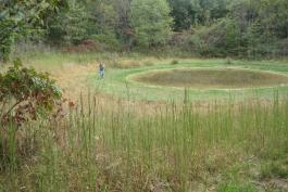 Virginia sneezeweed sinkhold pond habitat with a person walking along the edge