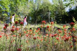 Two children walking on a trail by red flowers at Runge CNC