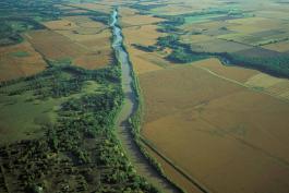 Aerial photo of nearly straight Chariton River and nearby cropland