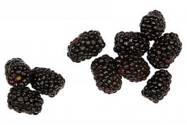 Blackberries on White Background